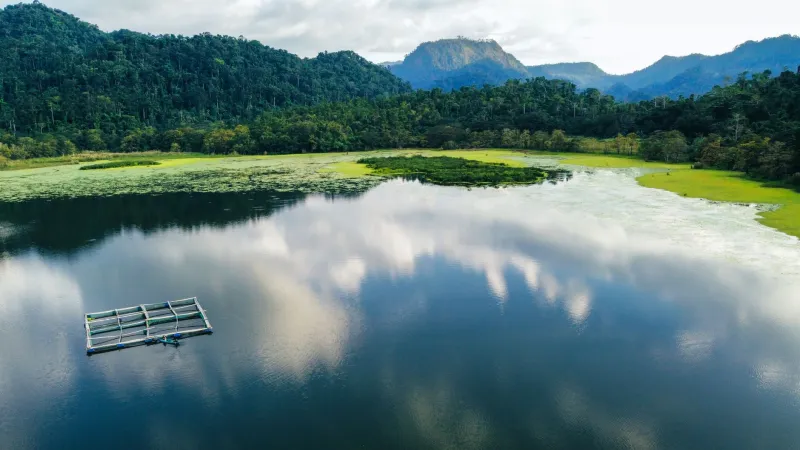 Burned Out and Logged On: How Caliraya Lake Became the Remote Worker's Reset Button