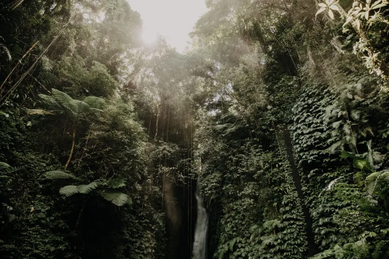 Off the Beaten Path: Secret Waterfalls and Hidden Trails Near Caliraya Lake Worth the Hike