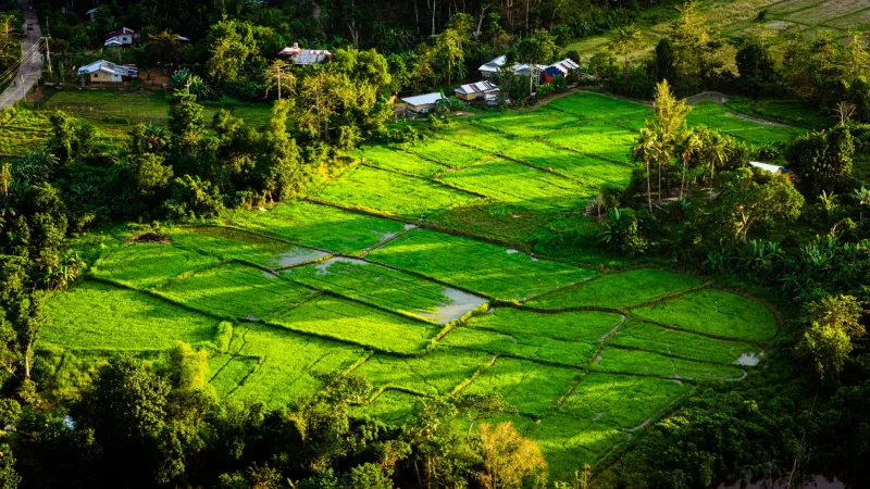 Plan It Right: The Month-by-Month Guide to Visiting Caliraya Lake